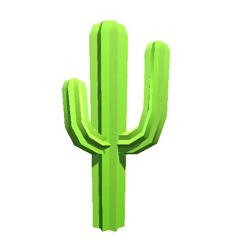 Cactus 05